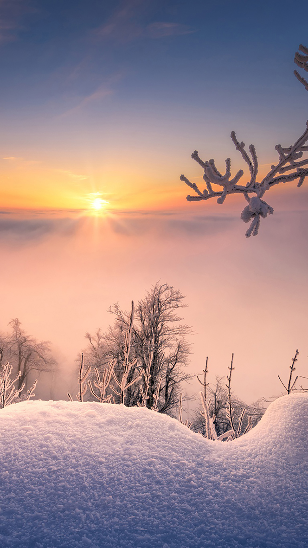 阿司匹林肠溶片/片